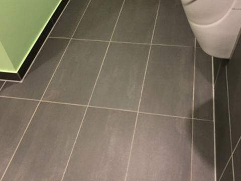 WC Boden Reinigung Potsdam